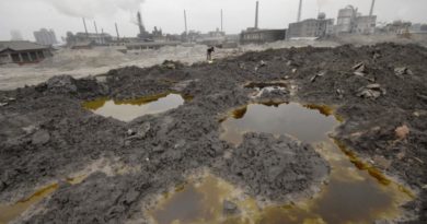 Beware: Highly Contaminated “Organic” Food From China Beware: Highly Contaminated “Organic” Food From China